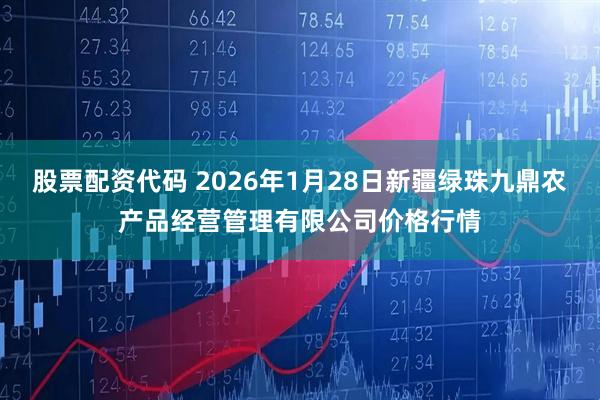 股票配资代码 2026年1月28日新疆绿珠九鼎农产品经营管理有限公司价格行情