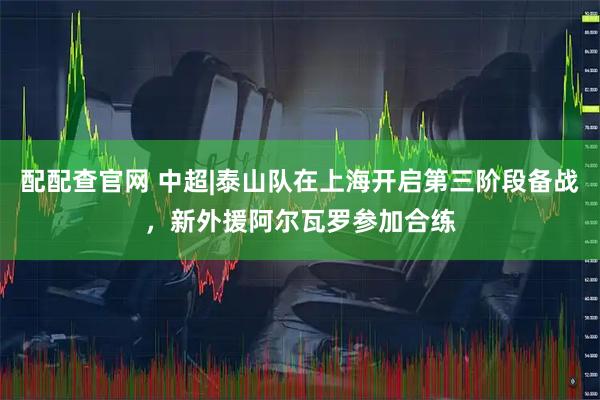 配配查官网 中超|泰山队在上海开启第三阶段备战，新外援阿尔瓦罗参加合练