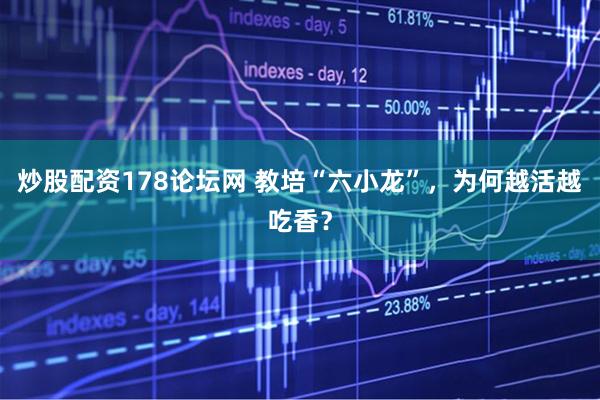 炒股配资178论坛网 教培“六小龙”，为何越活越吃香？